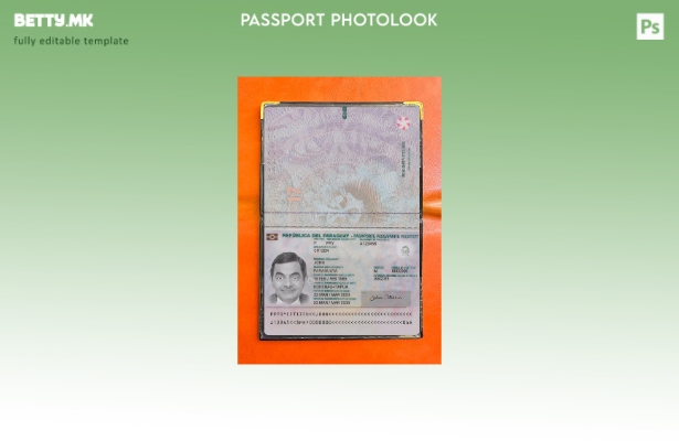 Модерен стил Парагвајски пасош присутен шаблон за фото изглед